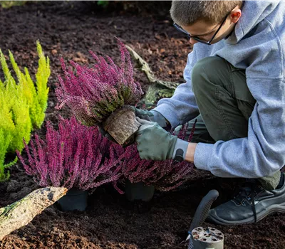 Beispielstellenangebot (m/w/d)