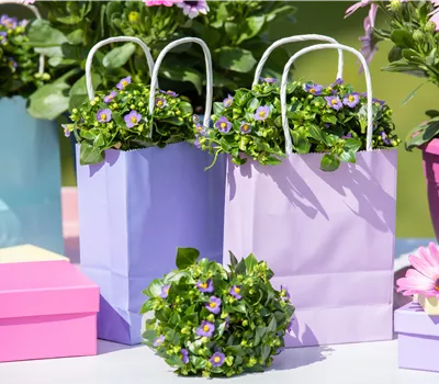 Beispielstellenangebot (m/w/d)