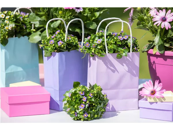 Beispielstellenangebot (m/w/d)