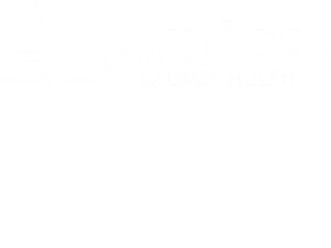 Schröder Containerbaumschulen
