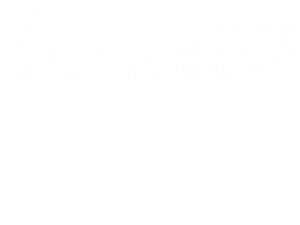 Olaf Schröder Containerbaumschulen